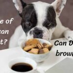 can dogs have brown sugar? | What type of sugars can dogs eat?